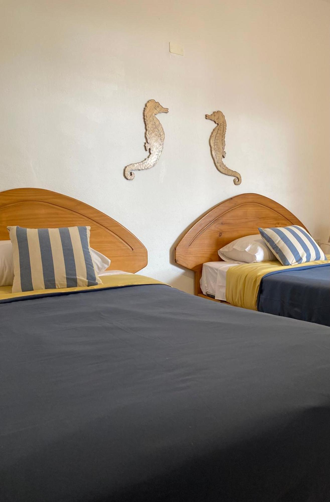 Ravenala Paracas Hostel מראה חיצוני תמונה