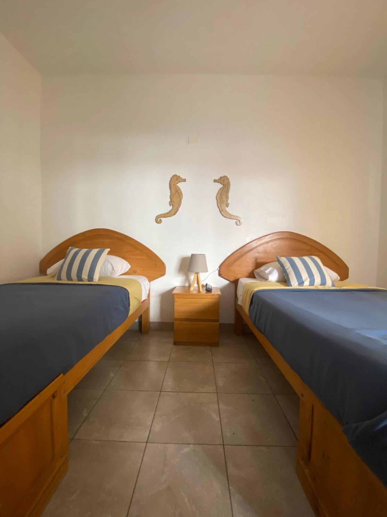 Ravenala Paracas Hostel מראה חיצוני תמונה